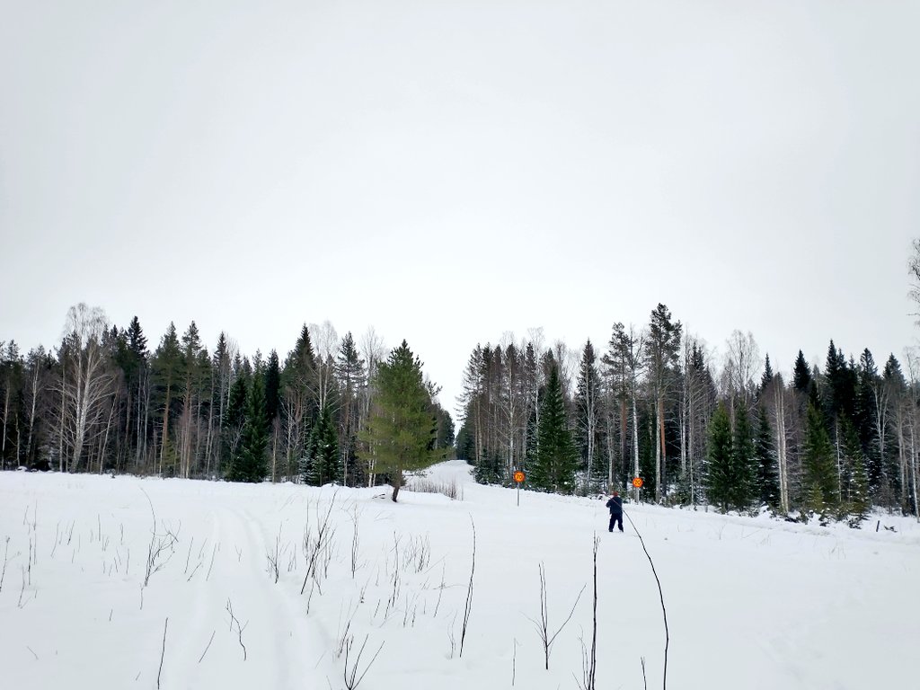 リノベーション中の学校で先日やってみた、スノーモービルカフェで出た大量のコーヒーかすを、昨日またじゃがいも畑に撒きました。Göranが出張に行く前だったから、長ぐつを履いてたGöran に行ってもらった😅(雪かきしてないエリアだから、ところどころ膝までズボッと落ちることがあるんです)