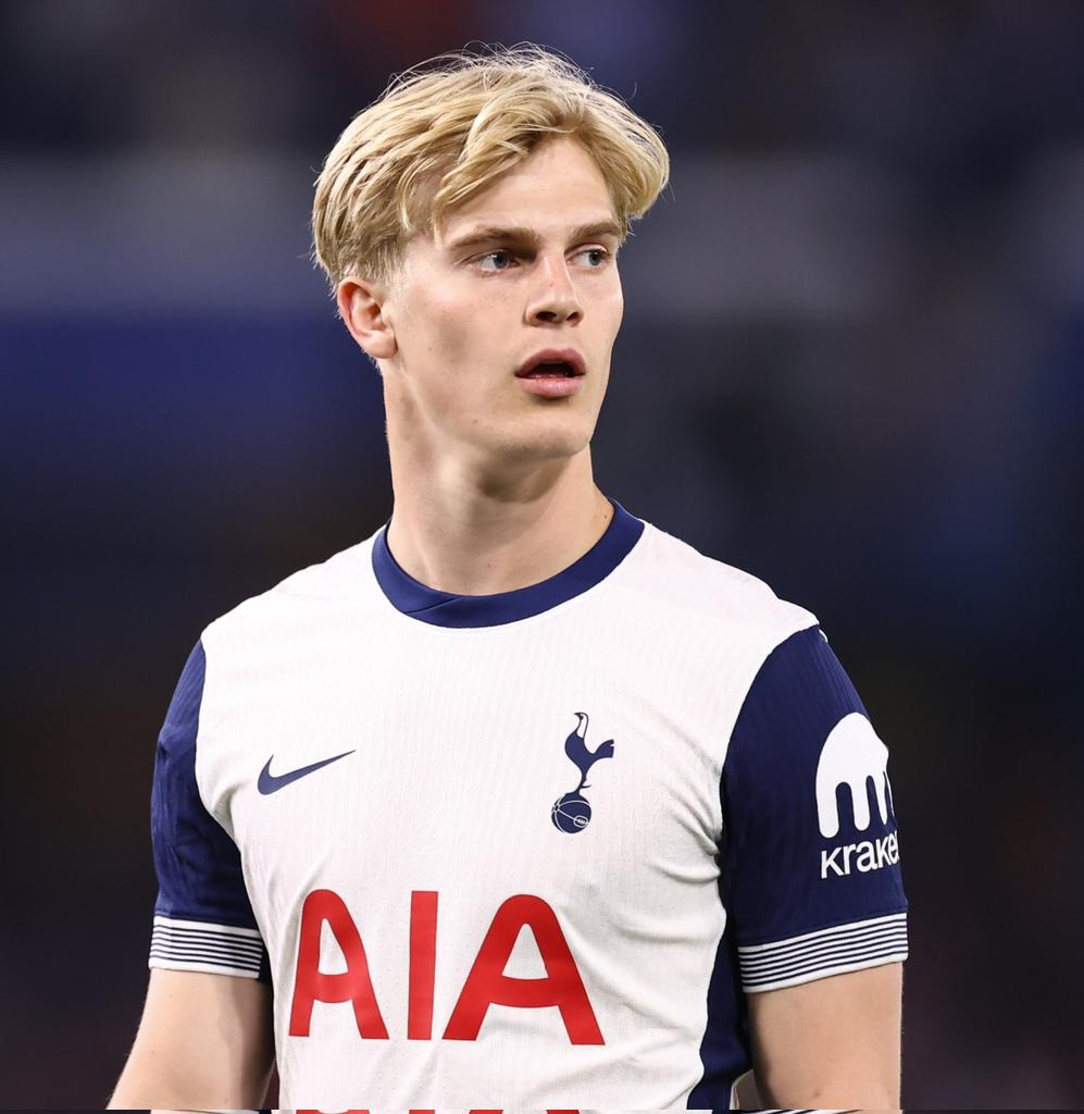 penaldo fraud🇹🇼 (on loan to Spurs from Benfica) tweet media