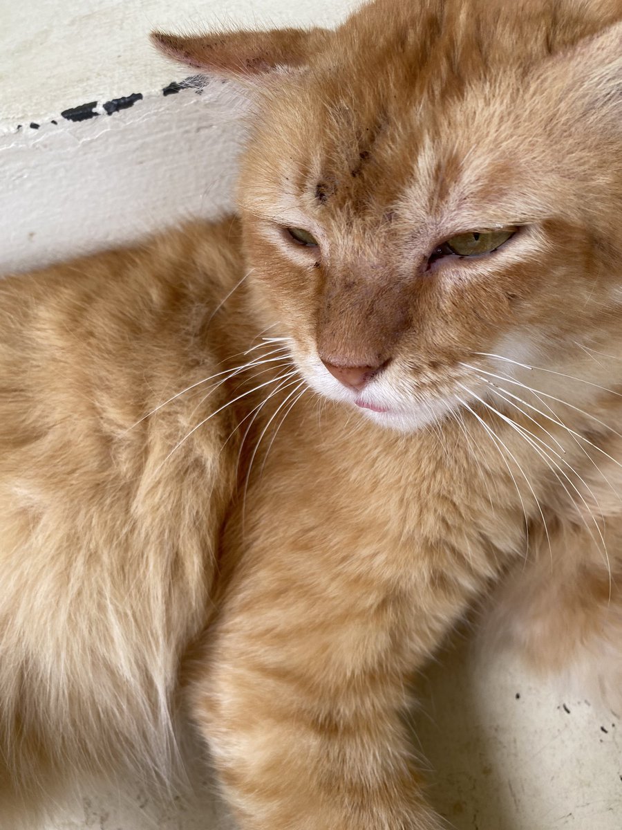 ponphuw 🦹🏻♂️ tweet media