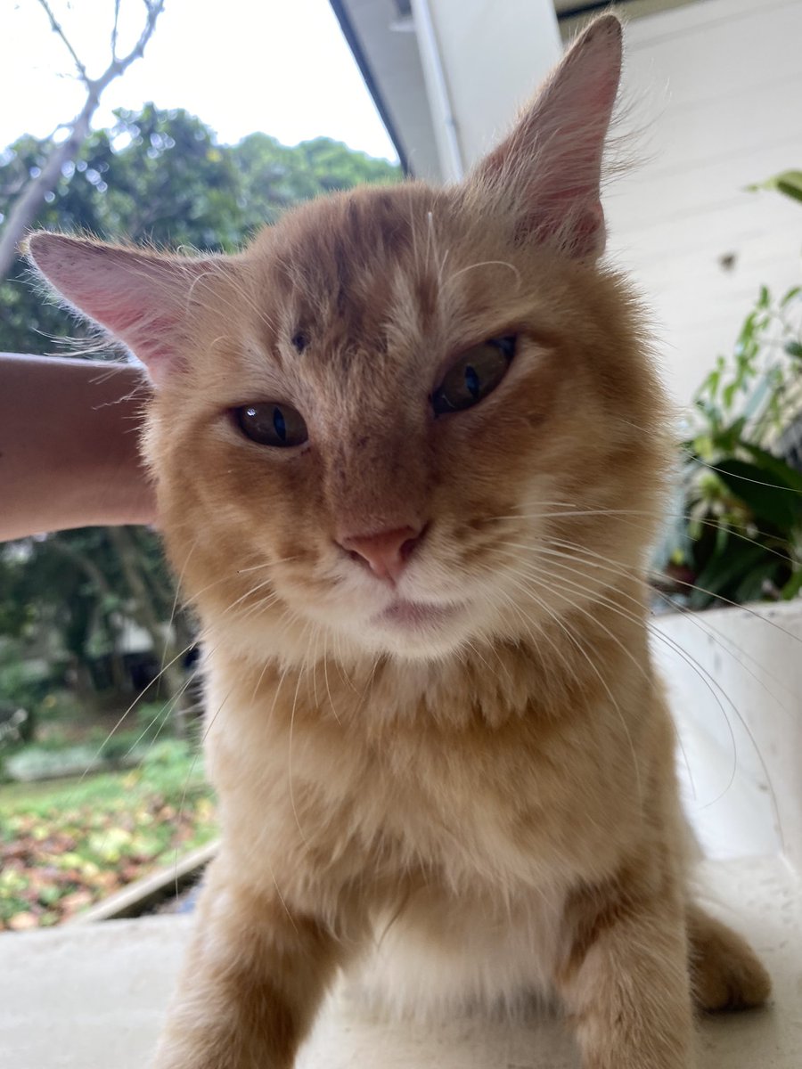 ponphuw 🦹🏻♂️ tweet media