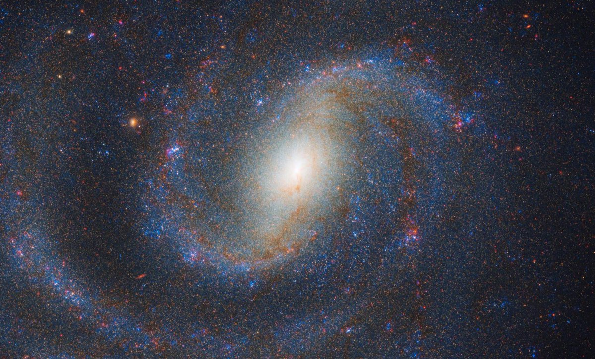 AstrospaceI's tweet image. Utilizzando il James #Webb, un team di ricercatori è riuscito a individuare la #stella progenitrice della #supernova SN 2025pht, scoprendo che si trattava di una supergigante rossa avvolta da una quantità eccezionale di polvere.
@NASAWebb @ESA_Webb 
astrospace.it/2026/02/24/il-…