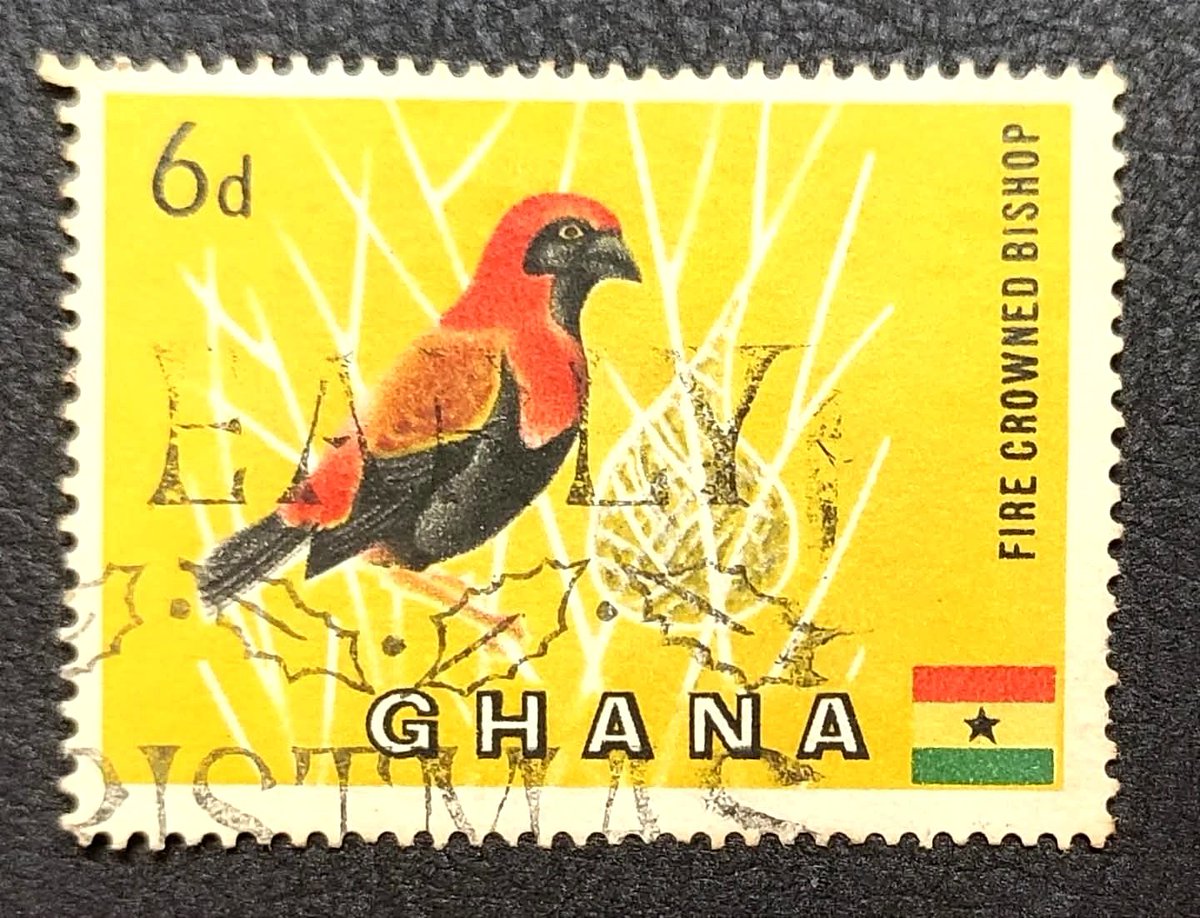 vinatewa_vinay's tweet photo. Birds on Stamps π¦π¦ββ¬π¦π€
Fire Crowned (Red-crowned) Bishop bird
Country: Ghana π¬π
Issued 1959
Denomination : 6d
#philately #Stamps #stampcollecting #birdsonstamps #birds #avian #philatelyisfun #philatelyworld #ghanaπ¬π https://t.co/RQqpxCeqcA