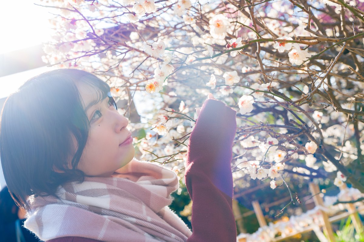 no-ri (@nori1080014) / Posts / X