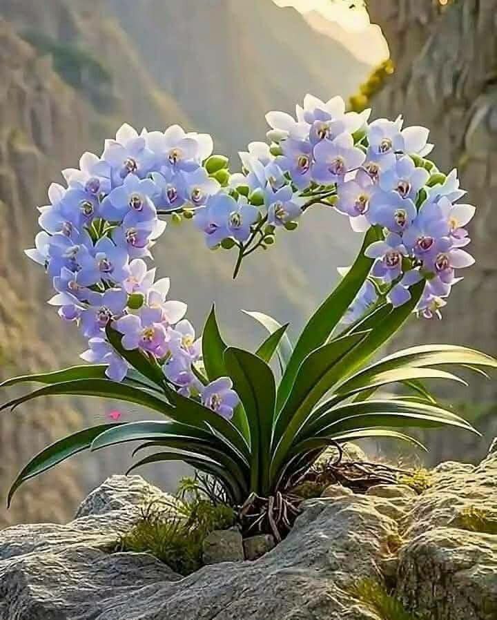 <a href="/MariaA94193/">Maria Carmen Tarrega Alemany</a> <a href="/jamaicaisla/">Mari Carmen</a> <a href="/amparosr1/">amparo s r</a> Buenos días chicas vamos a desayunar y a disfrutar del día besos y abrazos 😘 😘😘