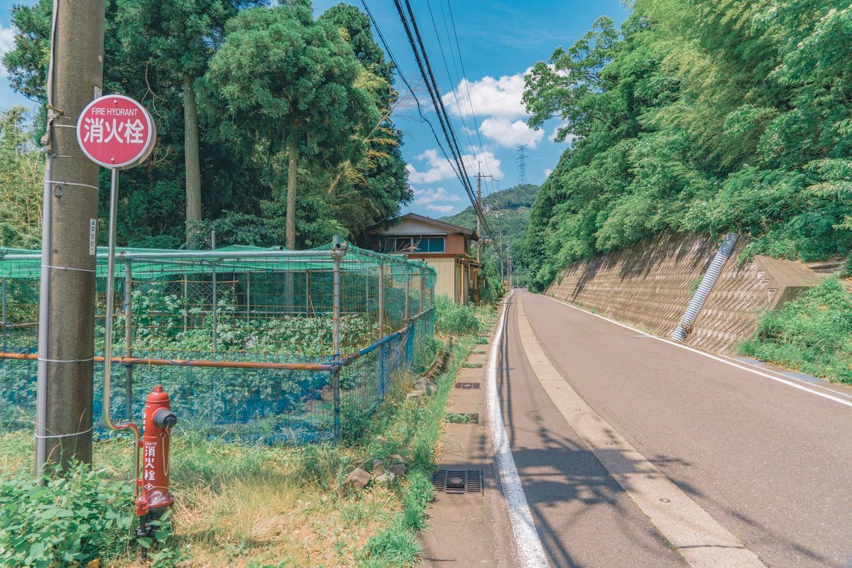 akinecoco987's tweet photo. Like a scene from an Anime. https://t.co/7j4jxeRXOW