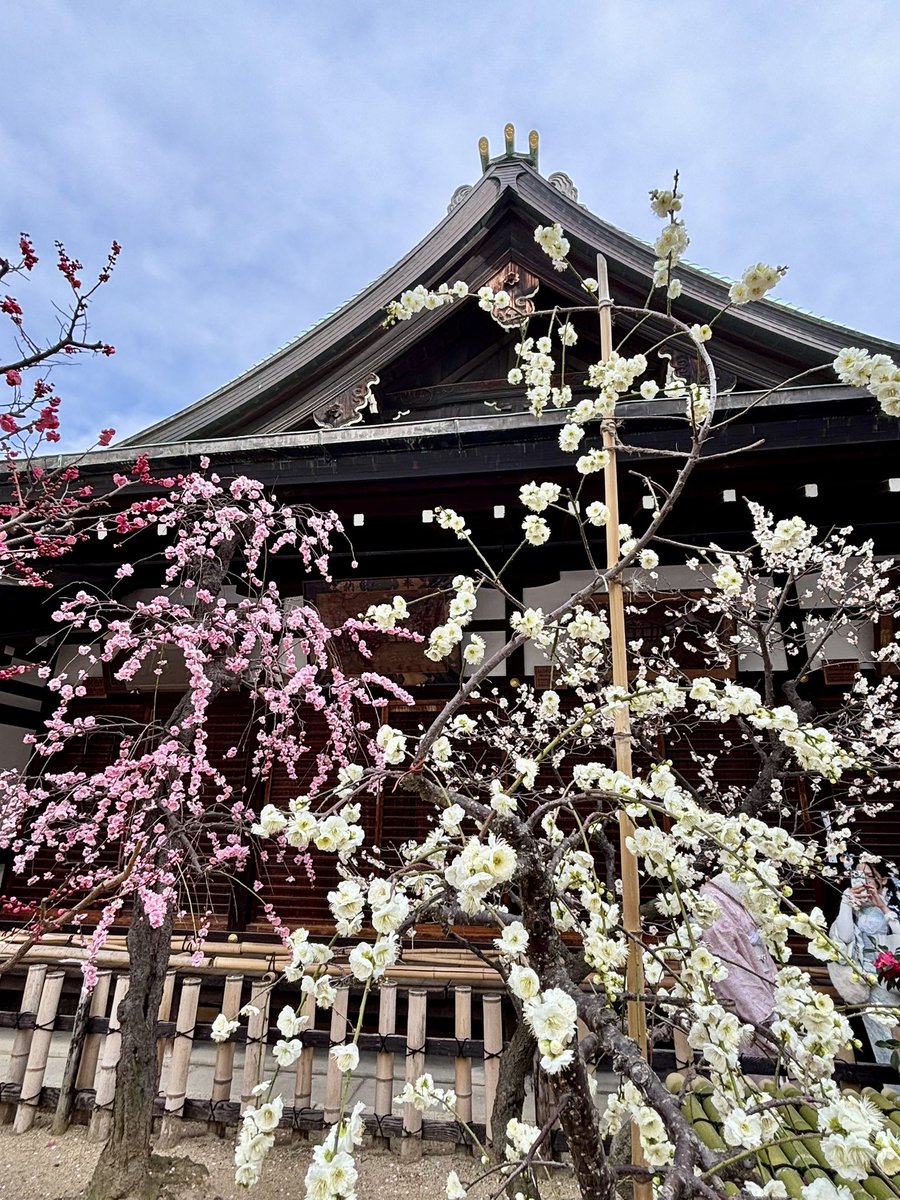 ひで@うどん県 tweet media