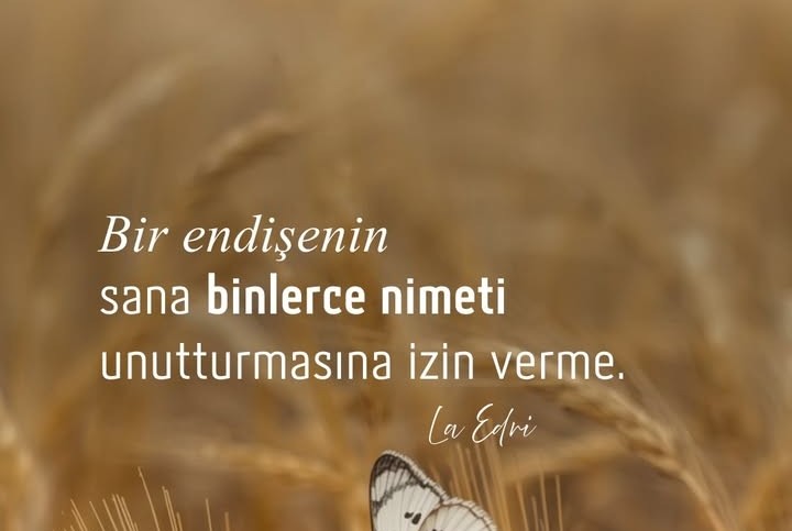 YÜCE YARATICIYI ASLA UNUTMAMAK GEREKİR.!