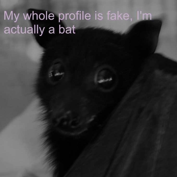 abril ✿ (@abrybu) on Twitter photo 