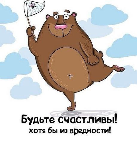 Alla Mironova 🇷🇺 tweet media