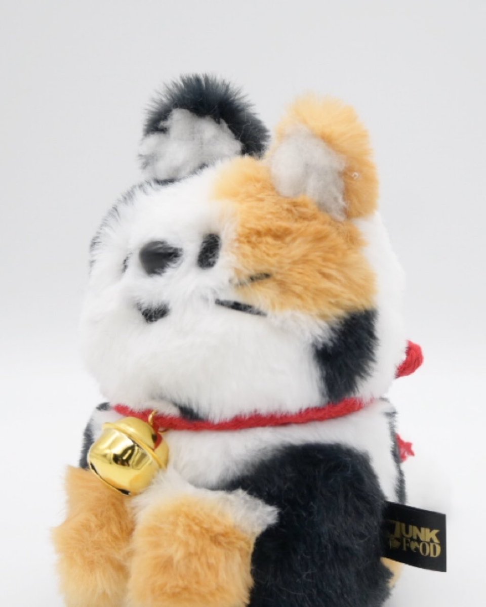 Post by JUNK FOOD OPERA on X: ニャン