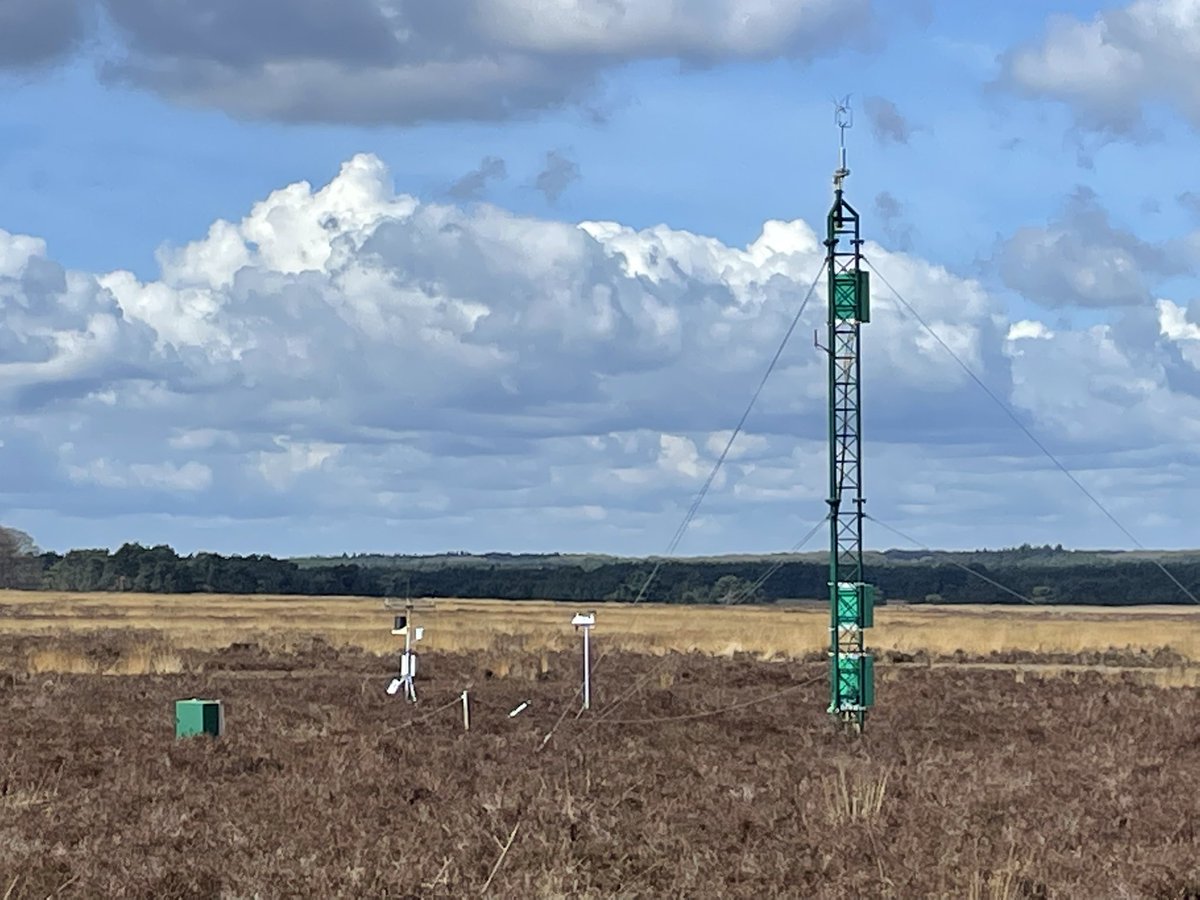 Chris Zeevenhooven tweet media