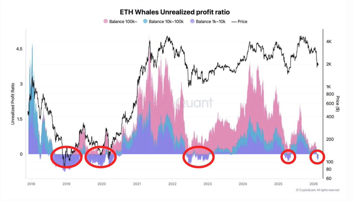 Large $ETH whales are underwater. 🐋

We all know what this means...