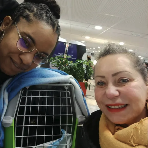 🇫🇷 Perdu depuis neuf mois dans la gare de Rouen, une chat nommé Néro a pu retrouver sa maitresse à Marseille. Des retrouvailles rendues possible grâce à Sunny, une bénévole de l'association les 3 ptits chats, qui s'est déplacée plusieurs fois par semaine pour retrouver le félin.