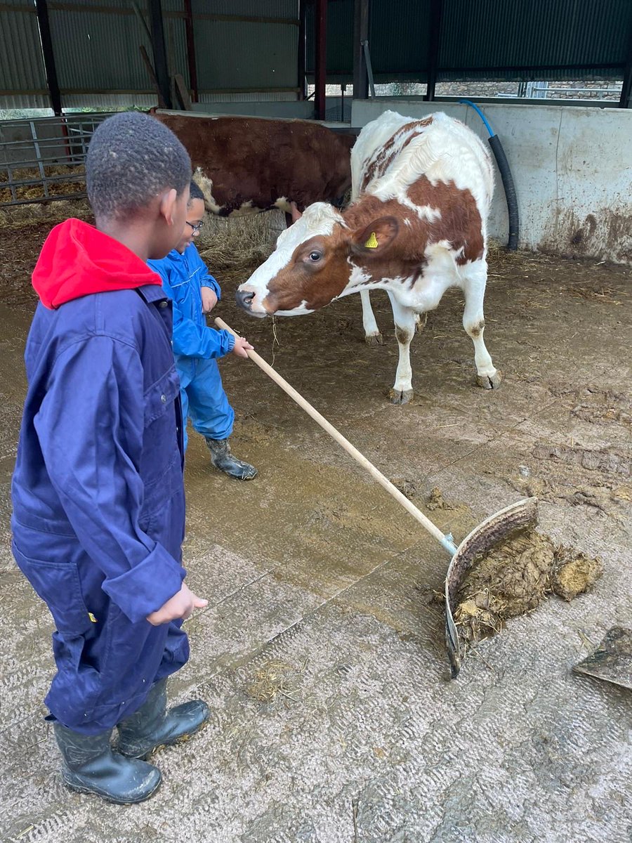 John Burns Primary tweet media