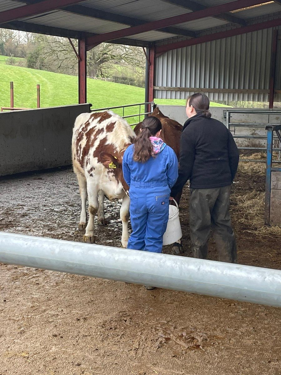 John Burns Primary tweet media