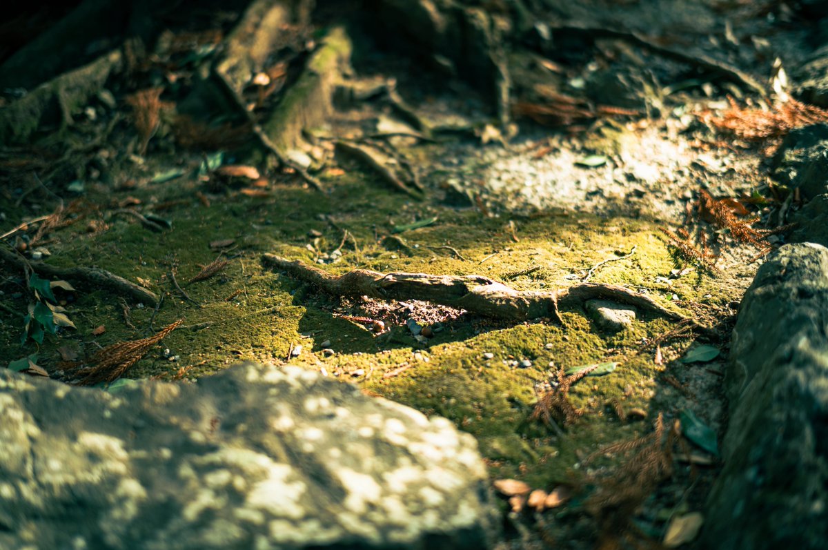 みかづき (@mic_azuki) on X