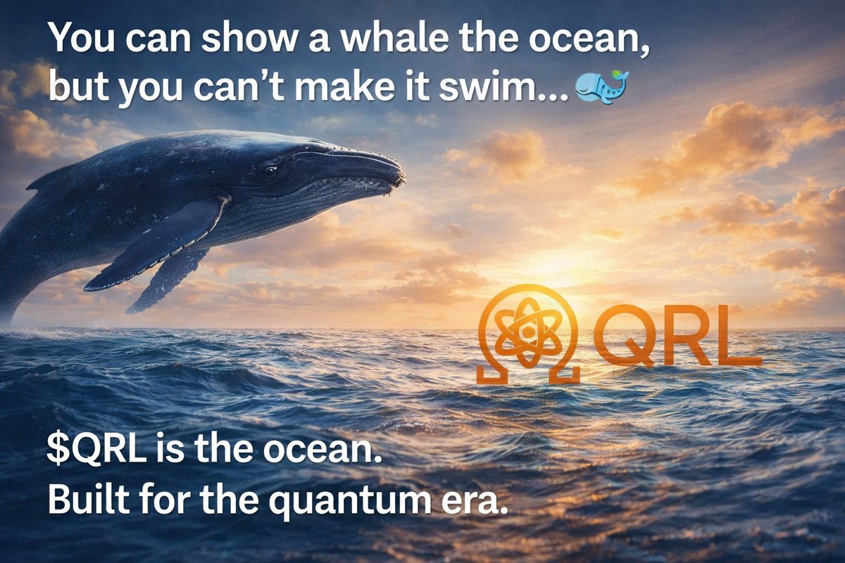 chillerid76's tweet photo. You can show a whale the ocean, but you can’t make it swim… 🐋
The rest is due diligence. $QRL
$BTC $ETH $XRP #whale #quantumsafecrypto @QRLedger https://t.co/FsGE2Ovo35