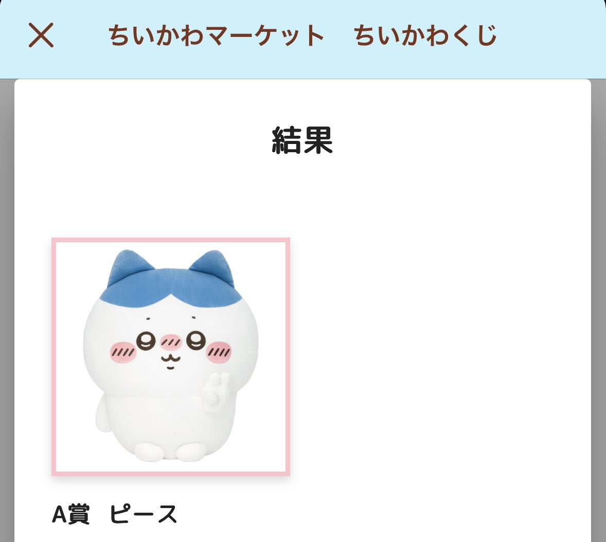 ハチワレだらけくじ1回でA賞でた！