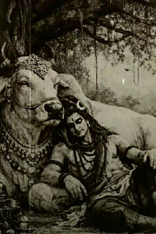 Devotees Era. tweet media