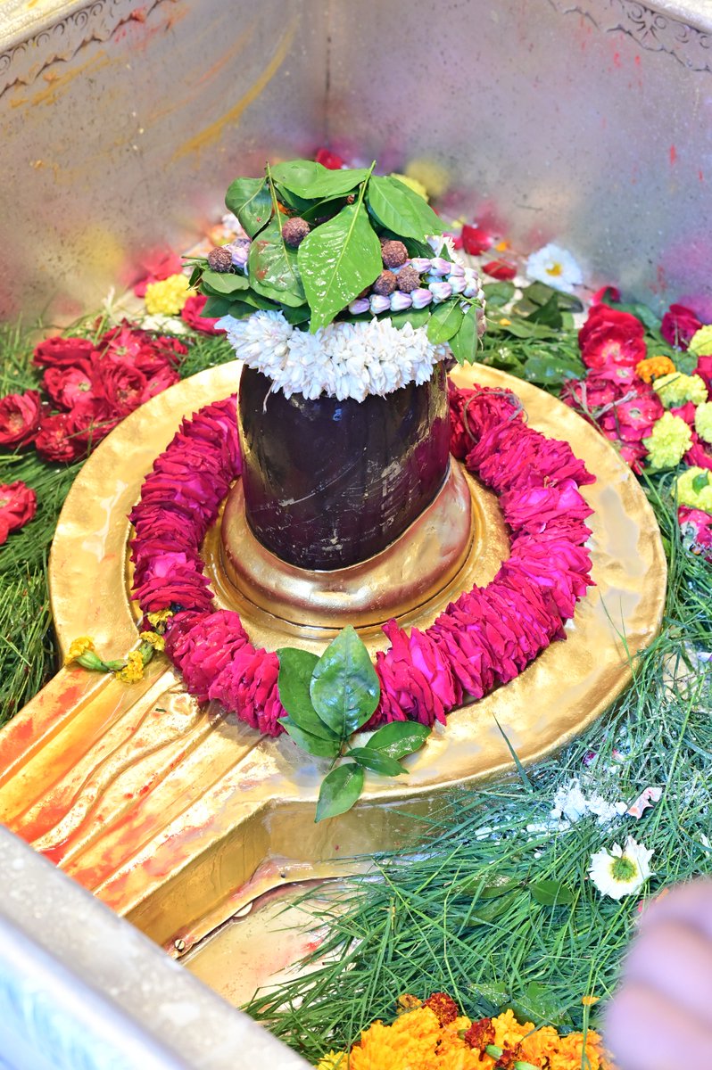 ShriVishwanath's tweet photo. श्री काशी विश्वनाथ जी की मध्यान्ह-भोग आरती I
#kashi #darshan #kashivishwanath #VishwanathDham #blessings https://t.co/CYJd6rPTKh