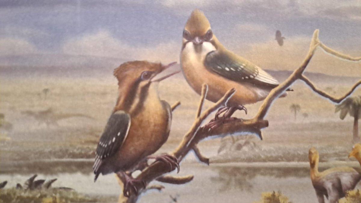 RTVE Castilla-La Mancha tweet media