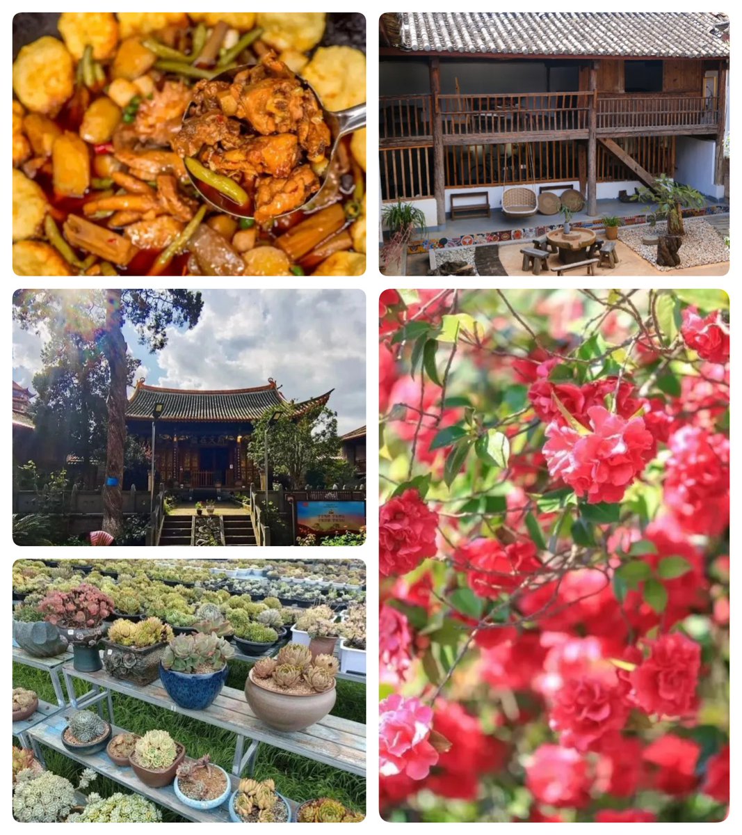 Discover Anning tweet media