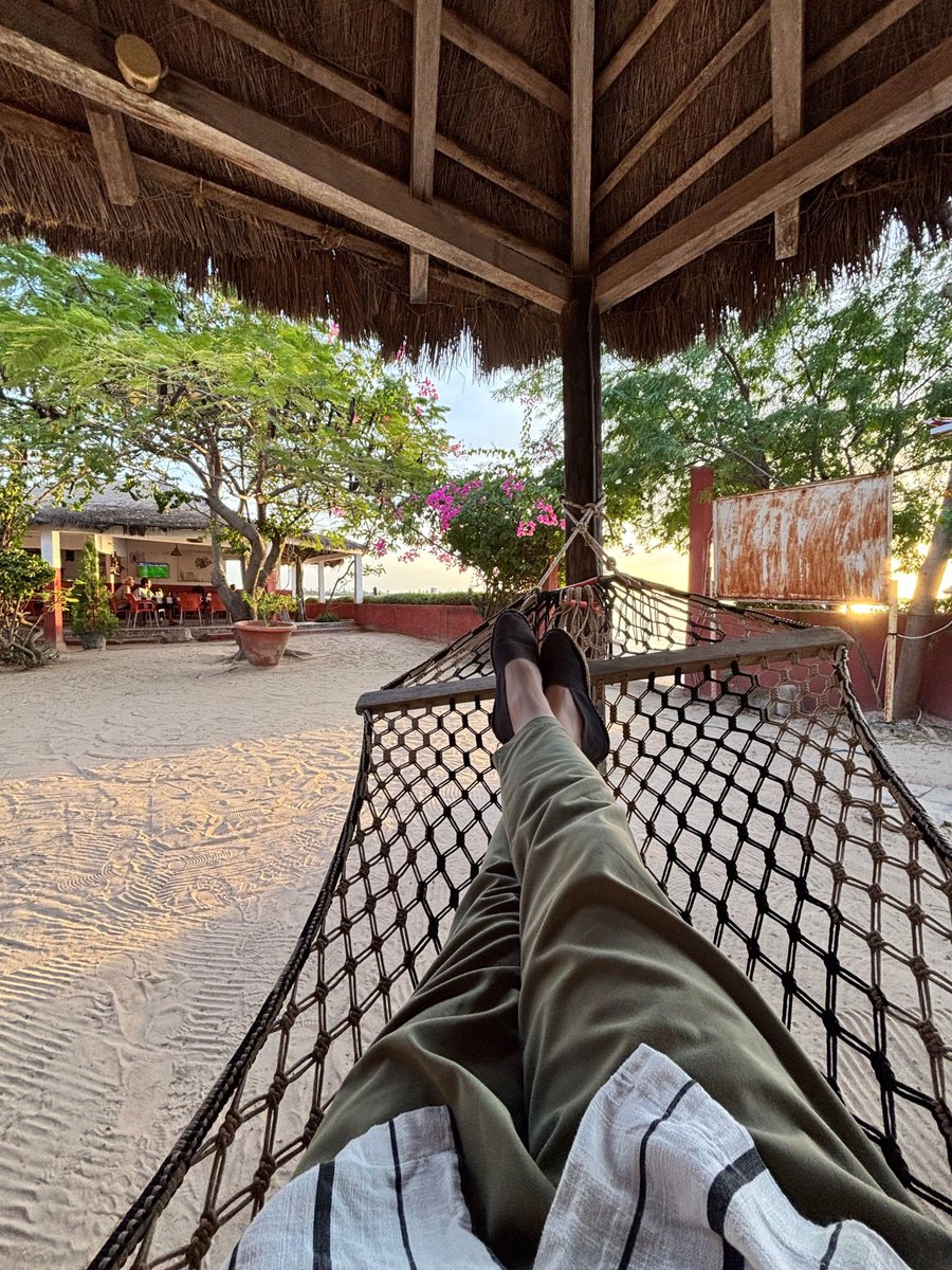 Arbieu.L tweet media