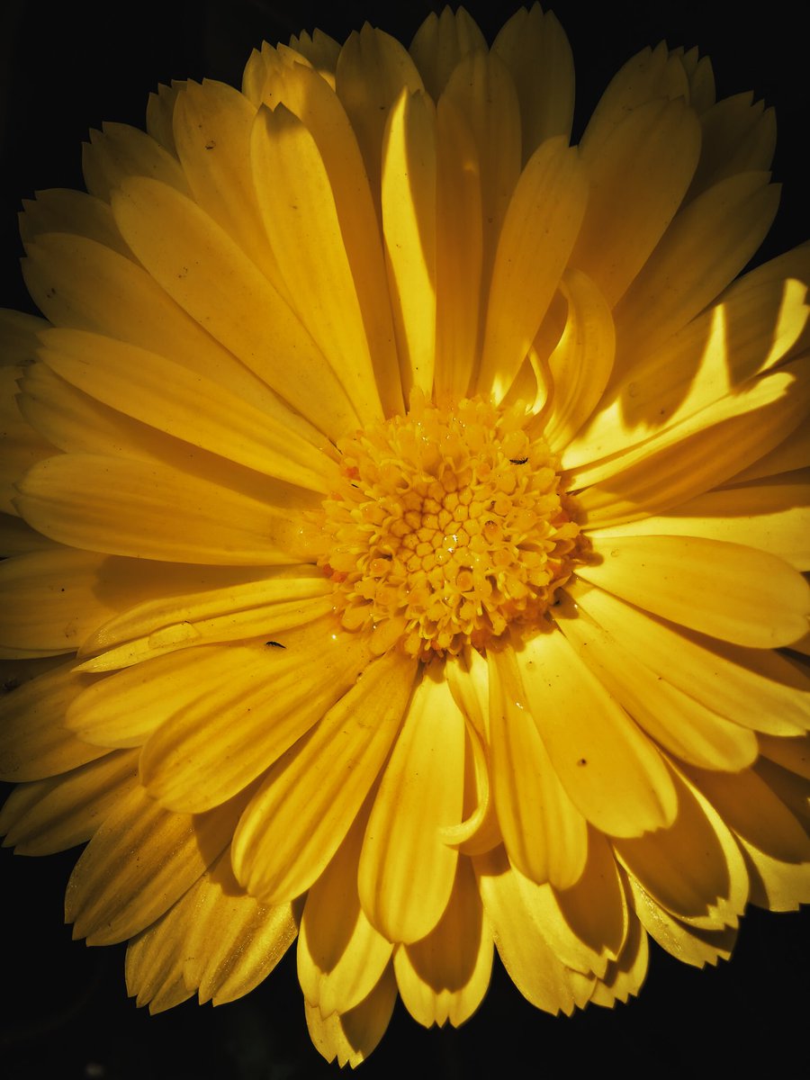 Paritosh_33's tweet photo. Some shots from my gallery..
I just love the clicking photos on my #T4Ultra https://t.co/Yz2YlDf5ow