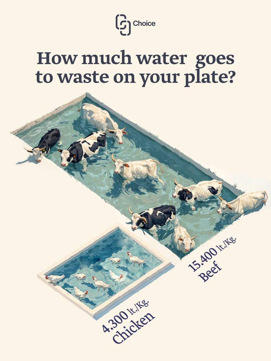 ChoiceEU tweet media