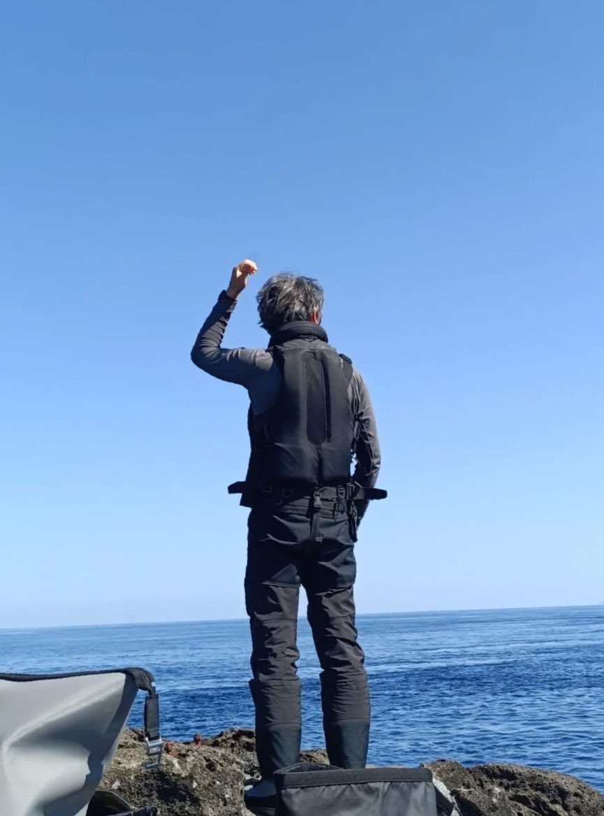 𝐓𝐚𝐫𝐨 𝐌𝐚𝐭𝐬𝐮𝐦𝐨𝐭𝐨 ™️ tweet media