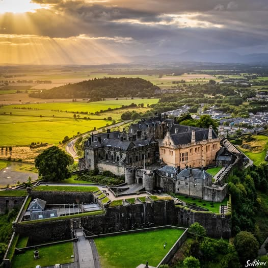 freddie barss tweet media