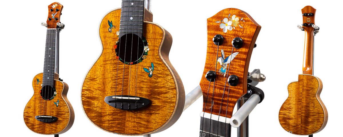 UKULELE BIRD (@BirdUkulele) on X