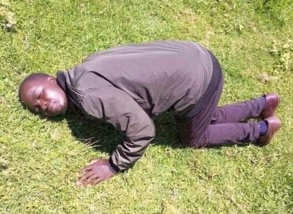 I should learn to code mamae