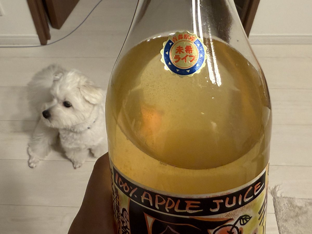 きなり tweet media