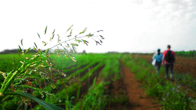 Caminante, son tus huellas
el camino y nada más;
Caminante, no hay camino,
se hace camino al andar.

      ✒️Antonio Machado

#BuenosDias #CiegodeAvila #Cuba🇨🇺 <a href="/rocdecubano/">Roberto Carlos</a> <a href="/GHNordelo5/">Gerardo Hdez. Nordelo</a> <a href="/YaselToledoG/">Yasel Toledo Garnache</a> <a href="/JHGcasanova/">julio Heriberto Gómez Casanova</a> <a href="/milyabad1982/">Misleydi Abad Modey</a> <a href="/FctGallardo/">@gallardo-UNICA</a>  <a href="/CAvilaRadio10/">Emisora Surco</a>