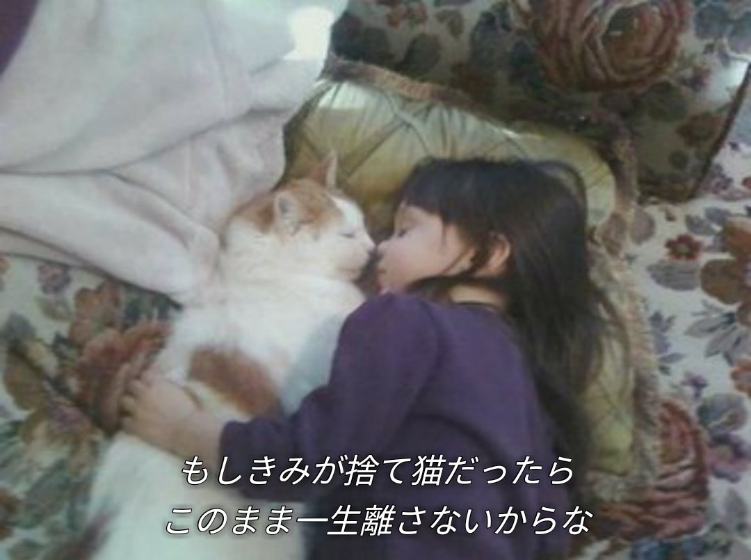 すみれ tweet media