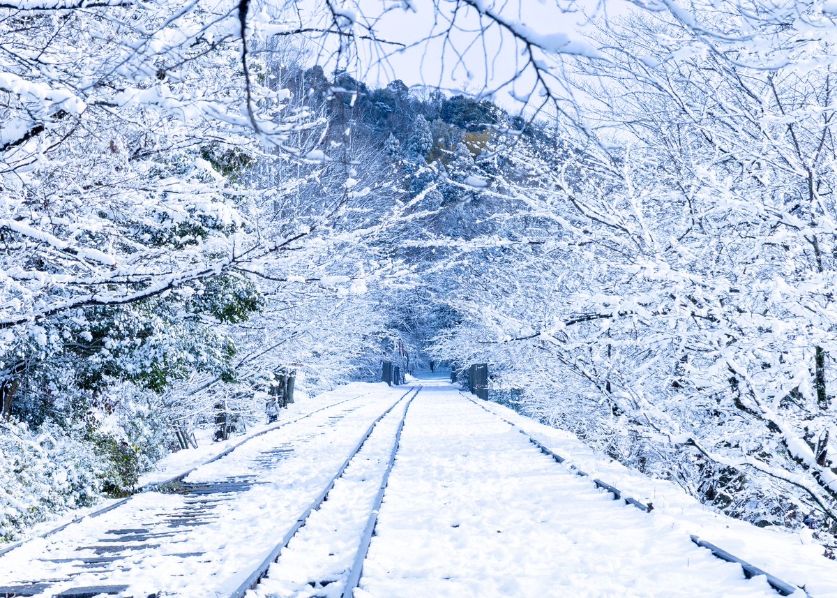 京都雪景色
#よきかな京都 
#京都の四季