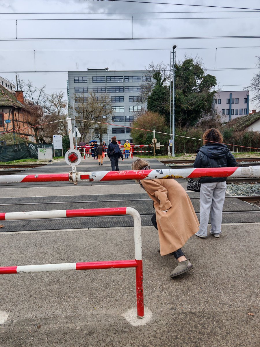 Tomislav Radnić tweet media