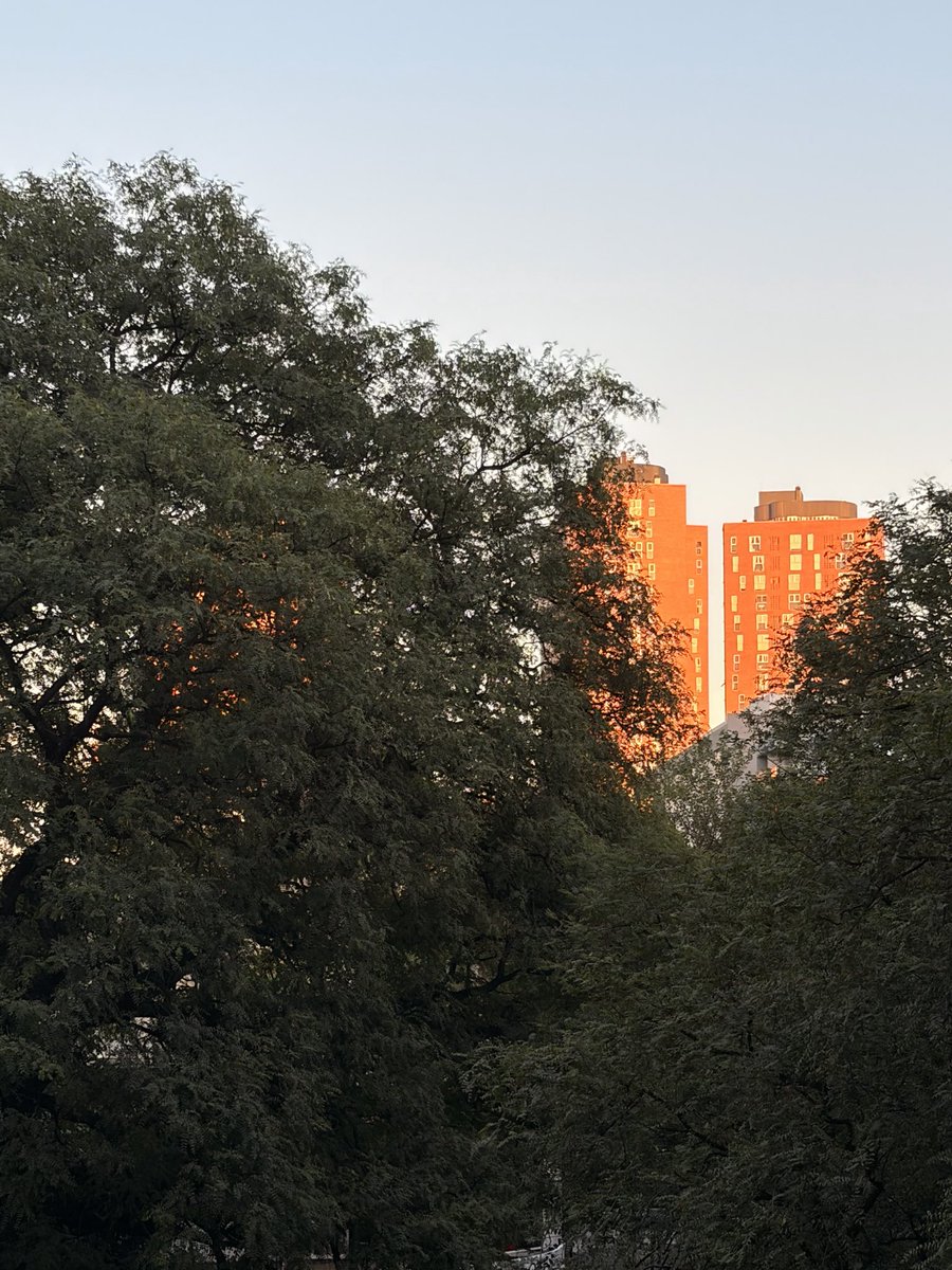Este sol de la mañana que me carga de energía ❤️
