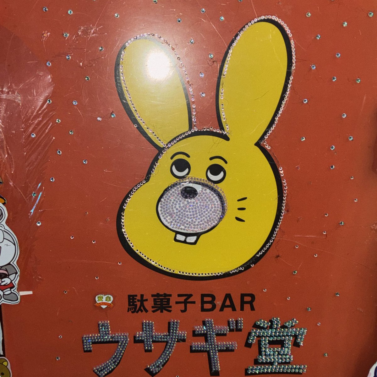 ウサギ堂です🐇 本日はあんじゅとののちゃんです🔥 ⁡ 今日は久しぶりに