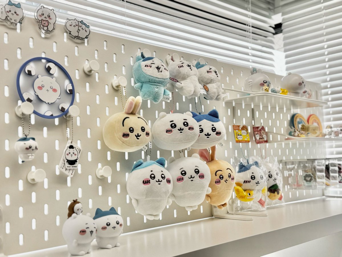 森健志郎😗Schoo(スクー)社長 tweet media