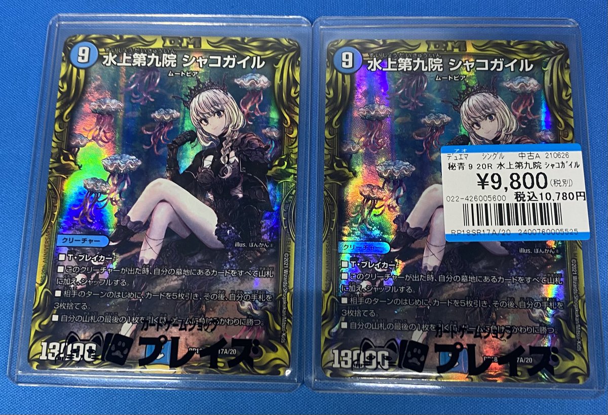 入荷情報】 💧20R 水上第九院 シャコガイル💧 こちら入荷致しました