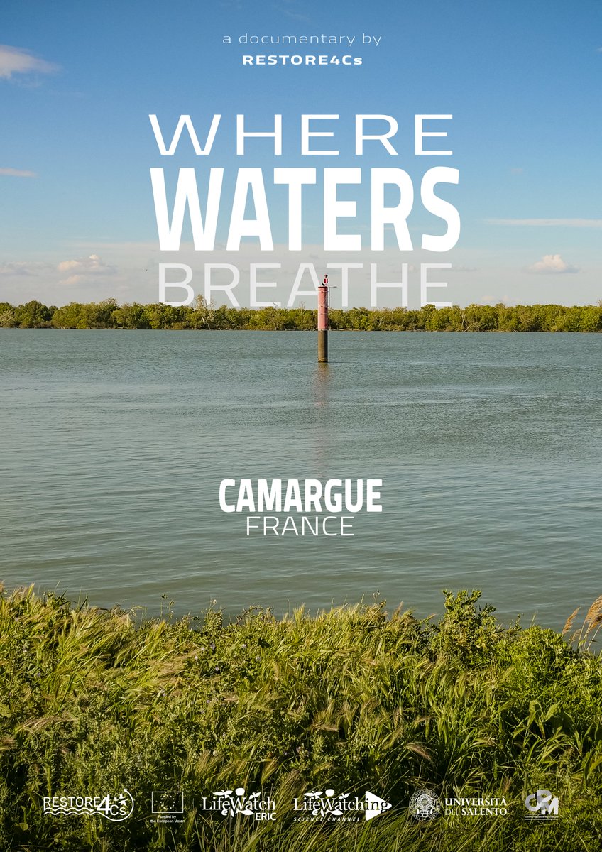 RESTORE4Cs tweet media