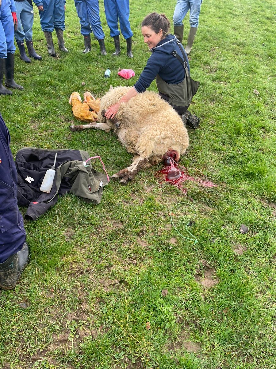 John Burns Primary tweet media