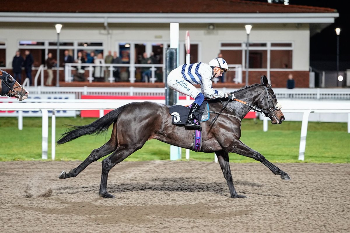 Basher Watts tweet media