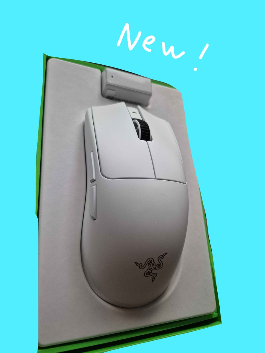 新しいマウスちゃん！🐁