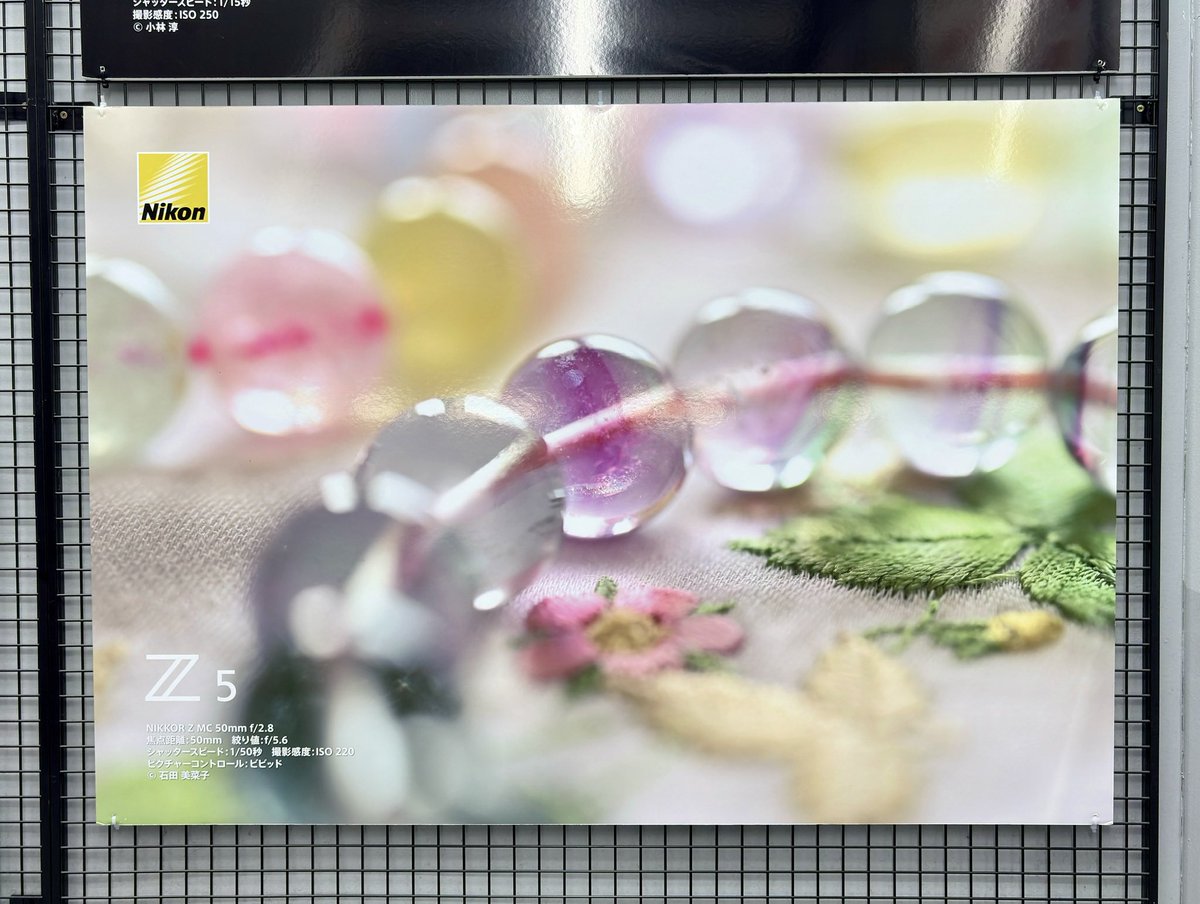 noblesse_colors's tweet photo. 私の石たちの写真が
こんなに大きく展示されています♡

ヨドバシ新宿カメラ館
最上階フォトギャラリー✨

撮影はもちろん！
私の師匠、石田美菜子さん @studiomil 

こんなにも美しく撮っていただいて、嬉しすぎる♡

新宿に行かれた方は、チラッとお立ち寄りいただき、ぜひぜひご覧下さいませ☺️ https://t.co/jjFQBDlqPP