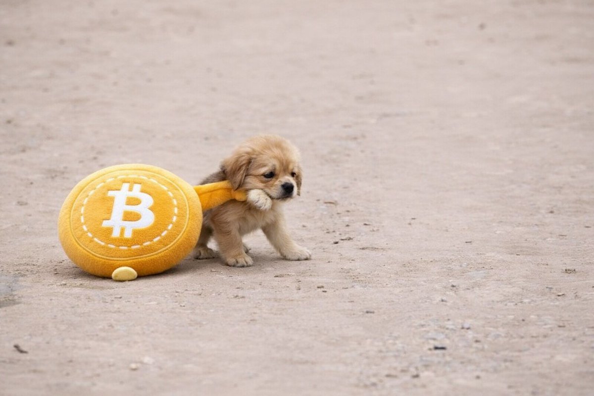 2011: “Bitcoin is dead at $2”
2013: “Bitcoin is dead at $13”
2015: “Bitcoin is dead at $200”
2017: “Bitcoin is dead at $1,000”
2018: “Bitcoin is dead at $3k”
2020: “Bitcoin is dead at $5k”
2021: “Bitcoin is dead at $30k”
2022: “Bitcoin is dead at $16k”
2024: “Bitcoin is dead at