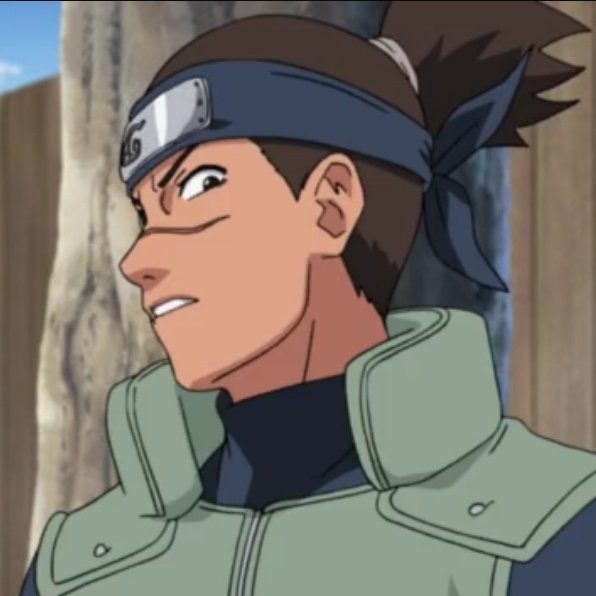 daily iruka 🐬 tweet media