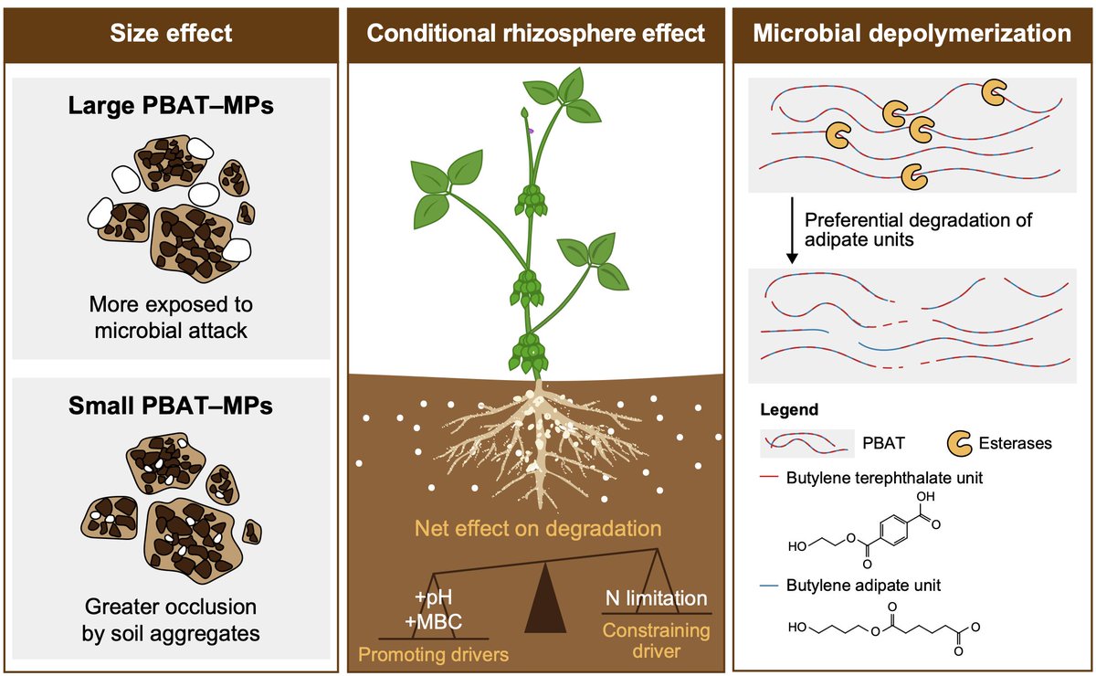 Environmental Science and Ecotechnology tweet media